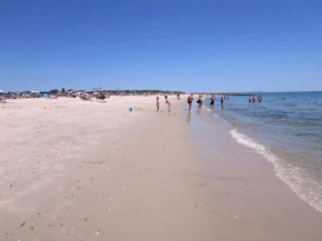 4 Long Pond Drive Harwich Cape Cod - Cape Retreat